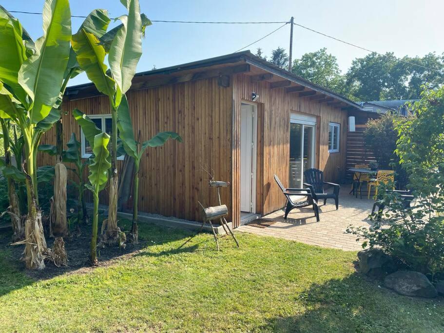 Gite Vogelau Schiltigheim Bagian luar foto